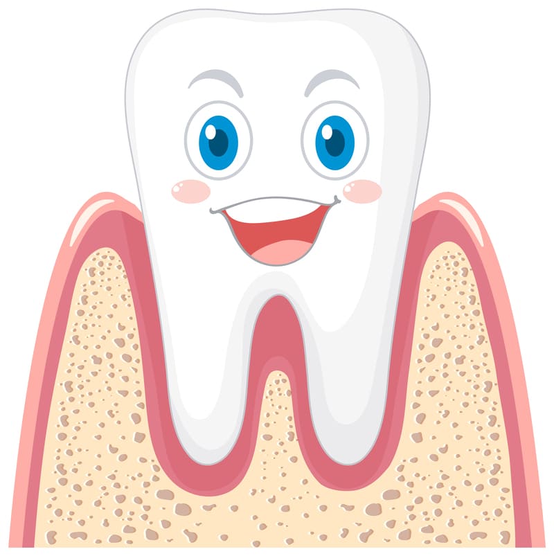 Causas e tratamento para Dentes Pequenos